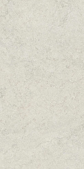 Керамический гранит Salento White / Саленто Уайт 610010004073 600x1200 (COLISEUMGRES)
