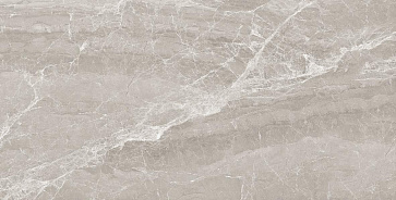 Керамический гранит Nostalgic Silver 60x120 полированный (Laparet)