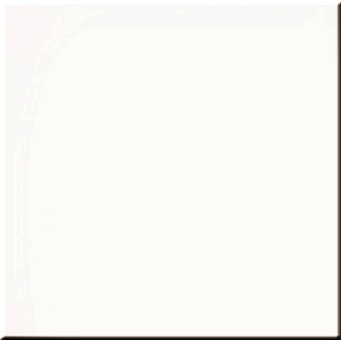 Керамический гранит RAINBOW RW 01 60x60 неполированный (ESTIMA Ceramica)