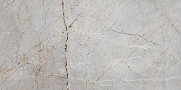 Керамический гранит Silver Root 60x120 полированный (Laparet)