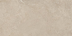 Керамический гранит Arenite Natural Matt. N30102 595x1200 (STN Ceramica)