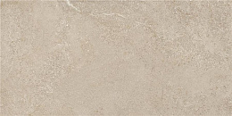 Керамический гранит Arenite Natural Matt. N30102 595x1200 (STN Ceramica)