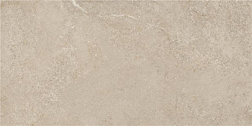 Керамический гранит Arenite Natural Matt. N30102 595x1200 (STN Ceramica)
