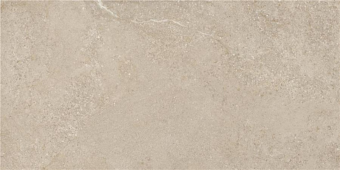 Керамический гранит Arenite Natural Matt. N30102 595x1200 (STN Ceramica)
