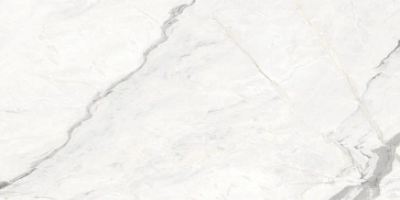 Керамический гранит Marble Venus White Matt 600x1200 (MDetails)