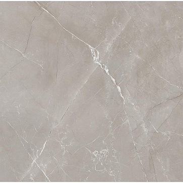 Керамический гранит Витрум Гриджио Vitrum Grigio 60x60 матовый (Laparet)