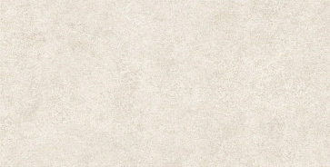 Керамический гранит AMSTERDAM GFA114ADM04R 570x1140 (Alma Ceramica)