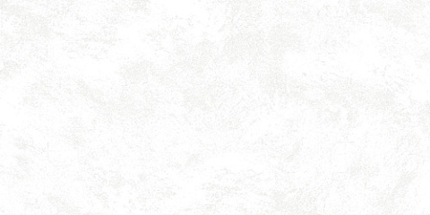 Керамический гранит RIGA White 30 (EMIGRES)