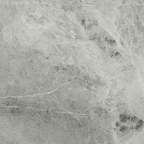Керамический гранит CHARME EXTRA Silver Ret 60x60 (Italon)