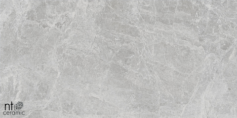 Керамический гранит Bright and Shiny Tundra Pearl mat NTT9118M 600x1200 (NT Ceramic)