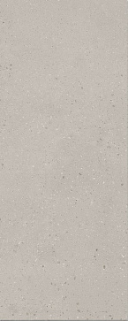 Плитка настенная СКАРПА Серый матовый 7256 200Х500 (KERAMA MARAZZI)