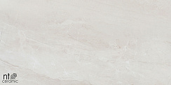 Керамический гранит ZEUS NTT9702 Полированный ZS612NTT9702P 600x1200 (NT Ceramic)