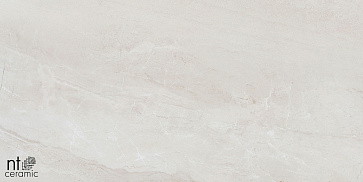 Керамический гранит ZEUS NTT9702 Полированный ZS612NTT9702P 600x1200 (NT Ceramic)