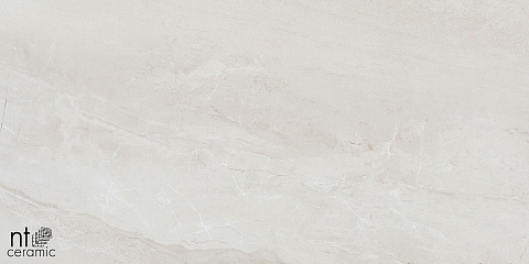 Керамический гранит ZEUS NTT9702 Полированный ZS612NTT9702P 600x1200 (NT Ceramic)