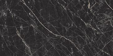 Керамический гранит Black Arkadia 60x120 полированный (Laparet)