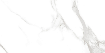 Керамический гранит Classic Marble Statuario Irish Grey Polished N20474 600x1200 (Neodom)