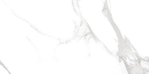 Керамический гранит Classic Marble Statuario Irish Grey Polished N20474 600x1200 (Neodom)