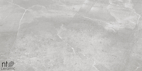 Керамический гранит Slate Grey лаппатированный NS612NTT9026L 600x1200 (NT Ceramic)