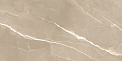 Керамический гранит Эссеншл каштановый / Essential Marron полированный 60120ESE21P 600x1200 (New Trend)