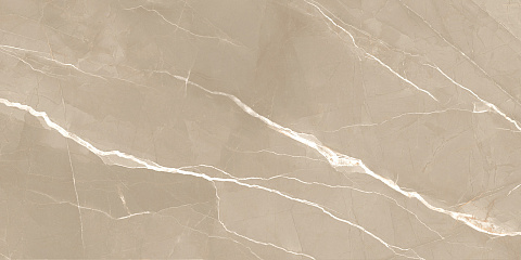 Керамический гранит Эссеншл каштановый / Essential Marron полированный 60120ESE21P 600x1200 (New Trend)