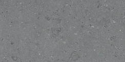 Керамический гранит Cemento Ammonite Grey Matt 600x1200 (MDetails)