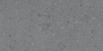 Керамический гранит Cemento Ammonite Grey Matt 600x1200 (MDetails)