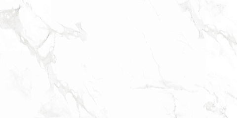 Керамический гранит Splendida Venus Bianco Polished N12003 600x1200 (Neodom)