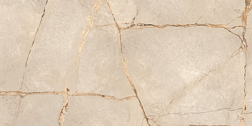 Керамический гранит Спешл Мармо бежевый / Special Marmo Beige полированный 60120PEC11P 600x1200 (LCM)