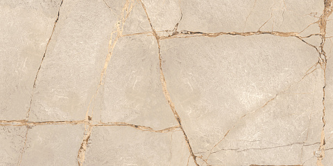 Керамический гранит Спешл Мармо бежевый / Special Marmo Beige полированный 60120PEC11P 600x1200 (LCM)