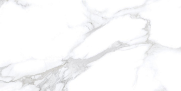 Керамический гранит Classic Marble Statuario Chic Matt N20532 600x1200 (Neodom)
