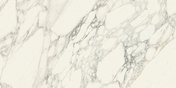 Керамический гранит Charme Deluxe Floor Project Arabescato White 60x120 Cer Rett (Italon)