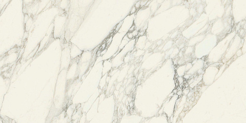 Керамический гранит Charme Deluxe Floor Project Arabescato White 60x120 Cer Rett (Italon)