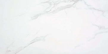 Керамический гранит P.E. PURITY WHITE 60 (STN Ceramica)