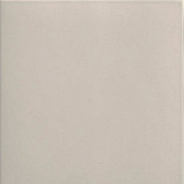 Керамический гранит Tech-koala 200x200 (MAINZU Ceramica)