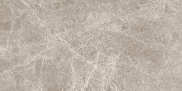 Керамический гранит Emperador Gris Polished N20455 800x1600 (Neodom)