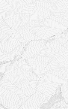 Плитка настенная Lace белый 250х400 (Creto)