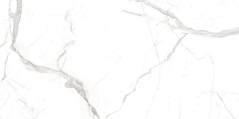 Керамический гранит Whites Bianco Dolomite Matt 60x120 (Creatile)