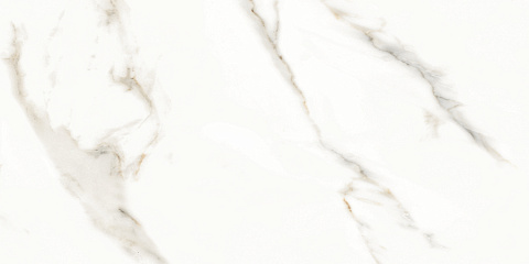 Керамический гранит Splendida Marmol Carrara Polished N12028 600x1200 (Neodom)