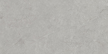 Керамический гранит Stone And Marble Олимп Серый 600x1200 (Creatile)