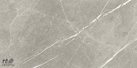 Керамический гранит Bright and Shiny BB612NTT9102P 600x1200 (NT Ceramic)