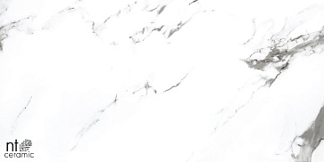 Керамический гранит Bright and Shiny BB612NTT9100P 600x1200 (NT Ceramic)