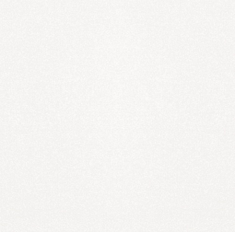 Керамический гранит Monocolor sugar white PG 01 450x450 (Gracia Ceramica)
