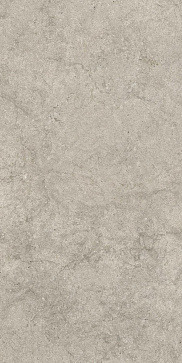 Керамический гранит Salento Grey / Саленто Грей 610010003142 600x1200 (COLISEUMGRES)