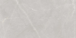 Керамический гранит Marbles Armani Natural Light Grey 600x1200 (Creatile)