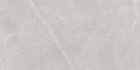 Керамический гранит Marbles Armani Natural Light Grey 600x1200 (Creatile)