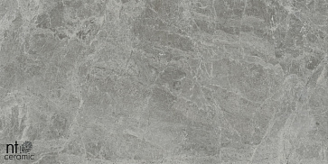 Керамический гранит Bright and Shiny Tundra Grey mat NTT9119M 600x1200  (NT Ceramic)