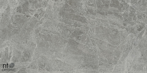Керамический гранит Bright and Shiny Tundra Grey mat NTT9119M 600x1200 (NT Ceramic)