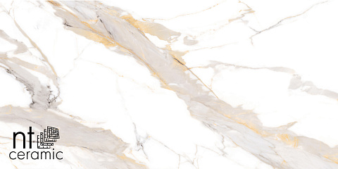 Керамический гранит Bright and Shiny Calacatta Light Grey NTT9121P 600x1200 (NT Ceramic)
