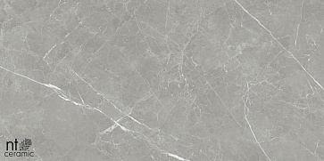 Керамический гранит Pietra NTT1102 лаппатированный PT6NTT1102L 600x600 (NT Ceramic)