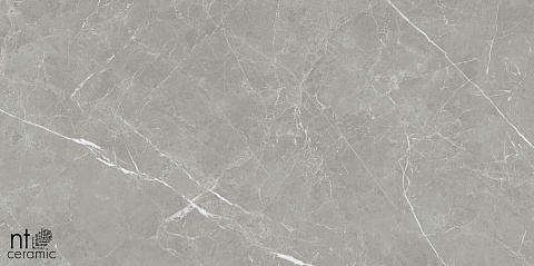 Керамический гранит Pietra NTT1102 лаппатированный PT6NTT1102L 600x600 (NT Ceramic)